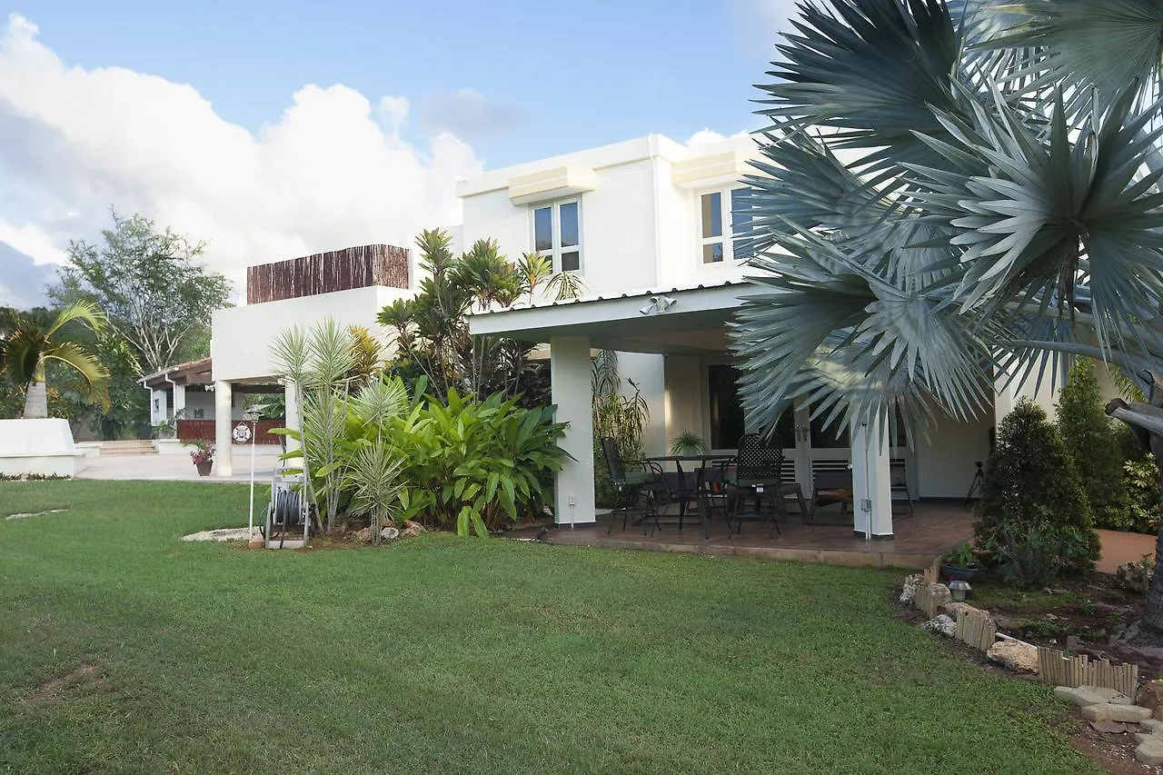 Bed & Breakfast Bella Noni B&B